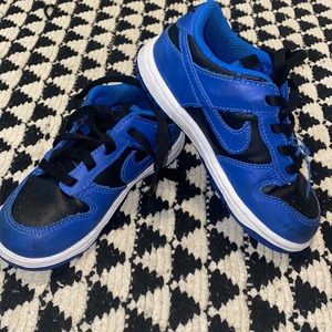 Kids Nike Dunks